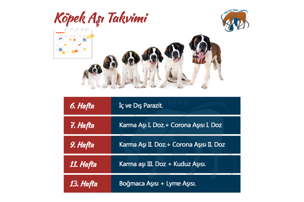 Köpek Aşı Takvimi